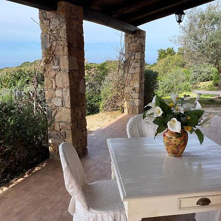 Villa Rocce Rosse Costa Paradiso Bagian luar foto